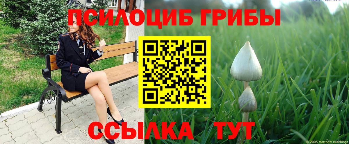 Галлюциногенные грибы GOLDEN TEACHER  Вход с VPN  Котлас  как найти   Псилоцибиновые грибы GOLDEN TEACHER 