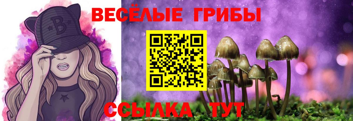 Галлюциногенные грибы Psilocybine cubensis Котлас